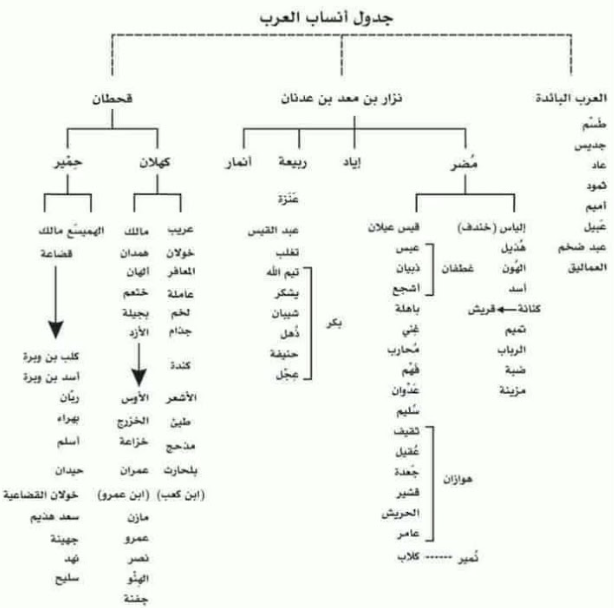 Arbre généalogique des tribus arabes